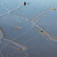 Image for article titled The Mystery of Death Valley's "Sailing Stones" Is Finally Solved